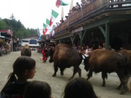 jugendpullmanncitiyfnf